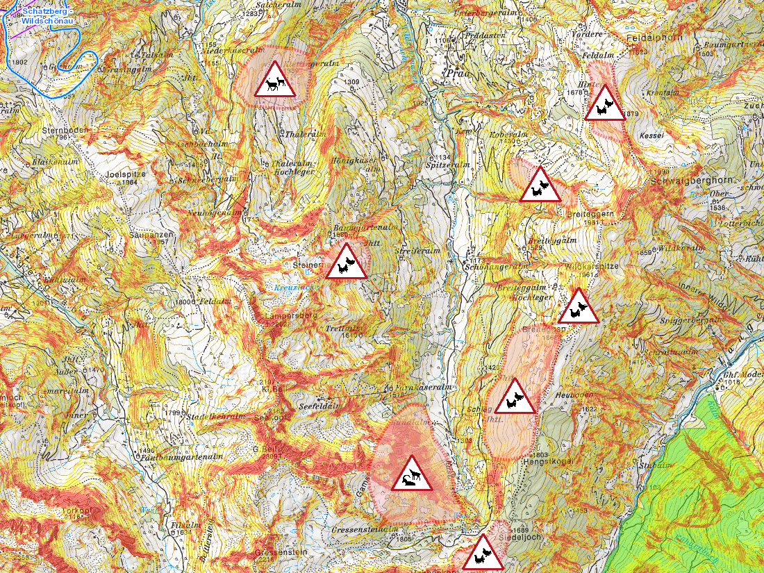 Landkarte Wildschönau mit Schutzzonen und Hangneigung © Land Tirol