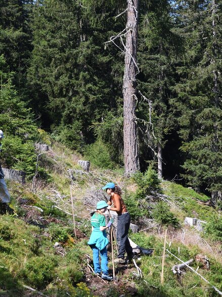 Bäume pflanzen statt Sandburgen bauen 🌲
Mit über 30 Teilnehmer konnten wir auch heuer wieder einiges in den Wäldern im&hellip;
