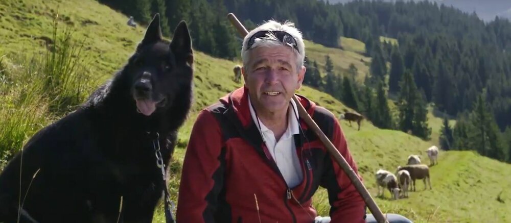 Screenshot of an interview. Man sitting next to dog on alpine meadow with cows.