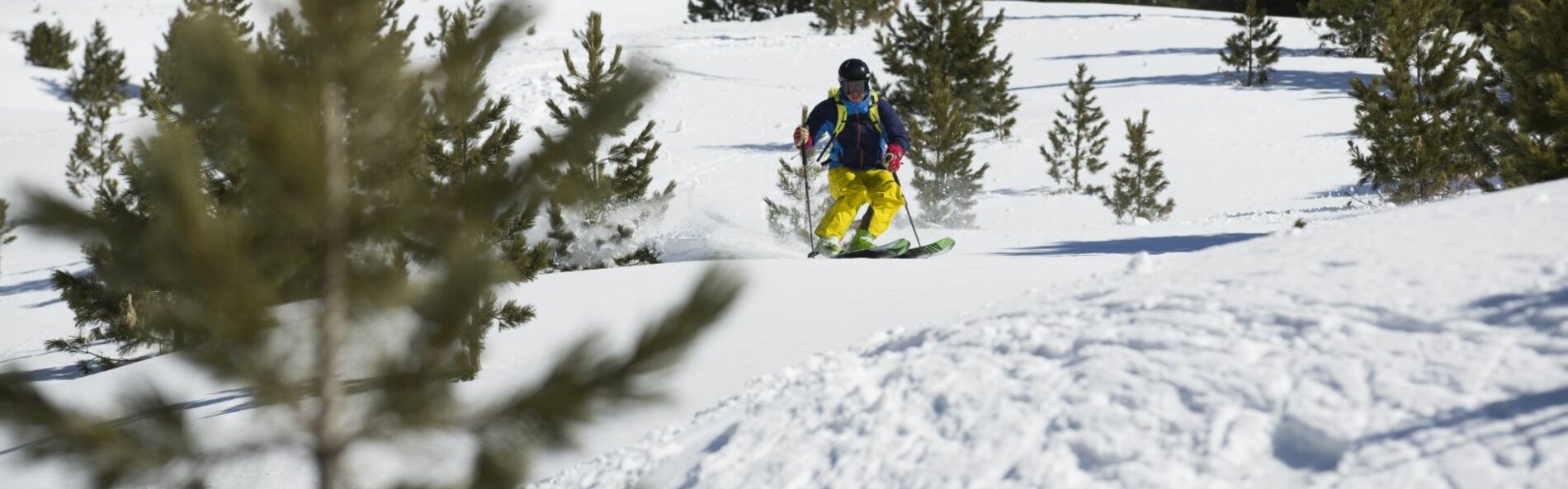 Skier freeriding