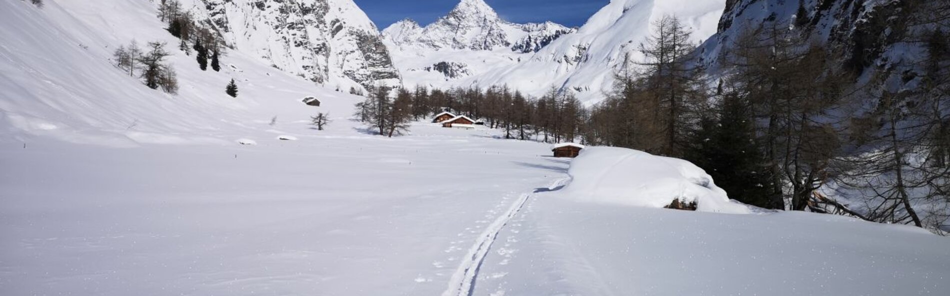 Skispur im Ködnitztal Richtung Großglockner