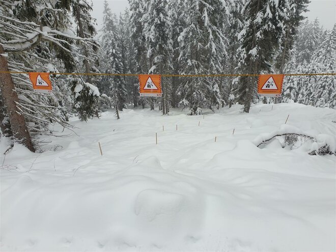 Eine Wimpelleine entlang der Rodelbahn soll die Aufforstungsfläche schützen. © Land Tirol
