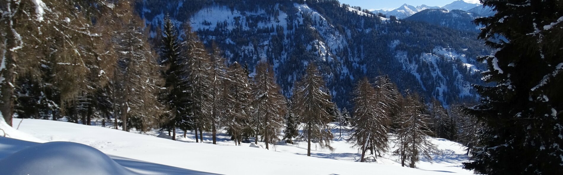 Freifläche mit Tiefschnee, im Vordergrund Spuren von Wildtieren © Andreas Angermann