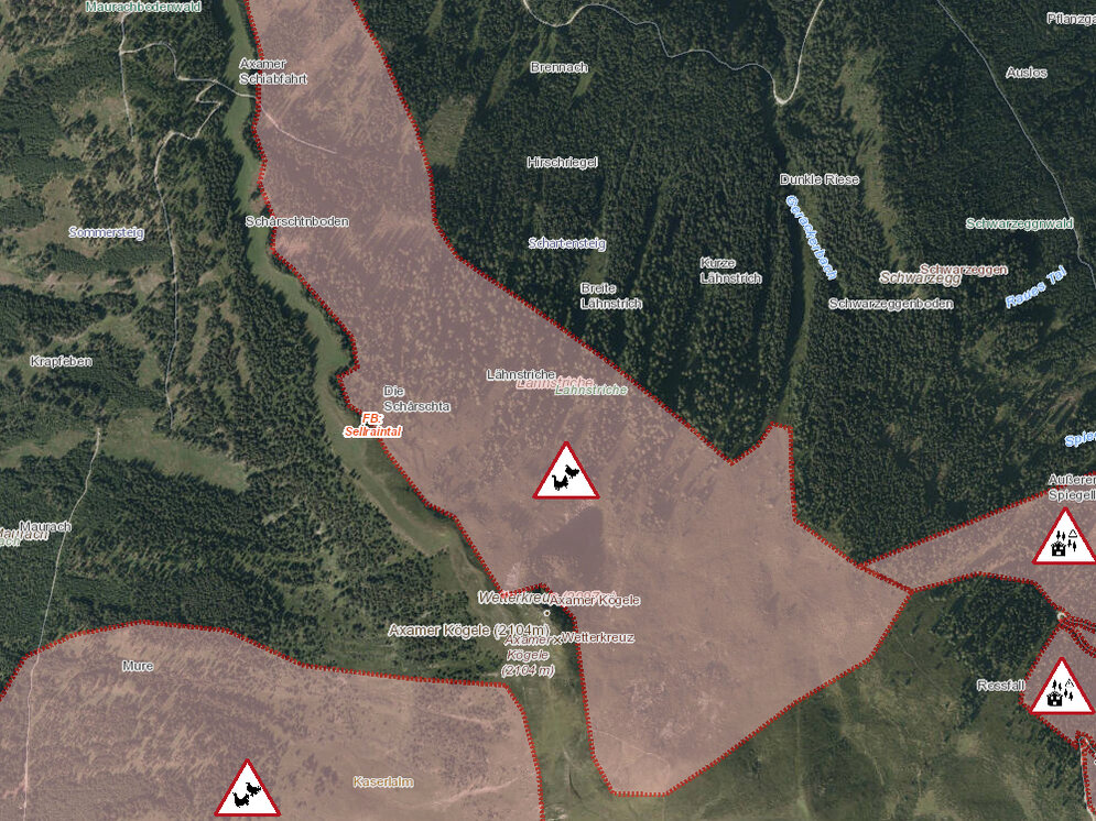 Ausschnitt aus tirisMaps mit Schutzzonen im Bereich Axamer Kögele (Dunkle Riese). © Land Tirol