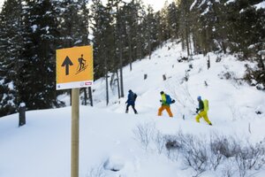 Ski touring trail signposted