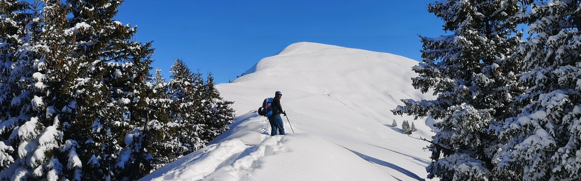 Skitourengeher steht auf einem Bergrücken in einer Waldlichtung, mit Blick auf den Gipfel