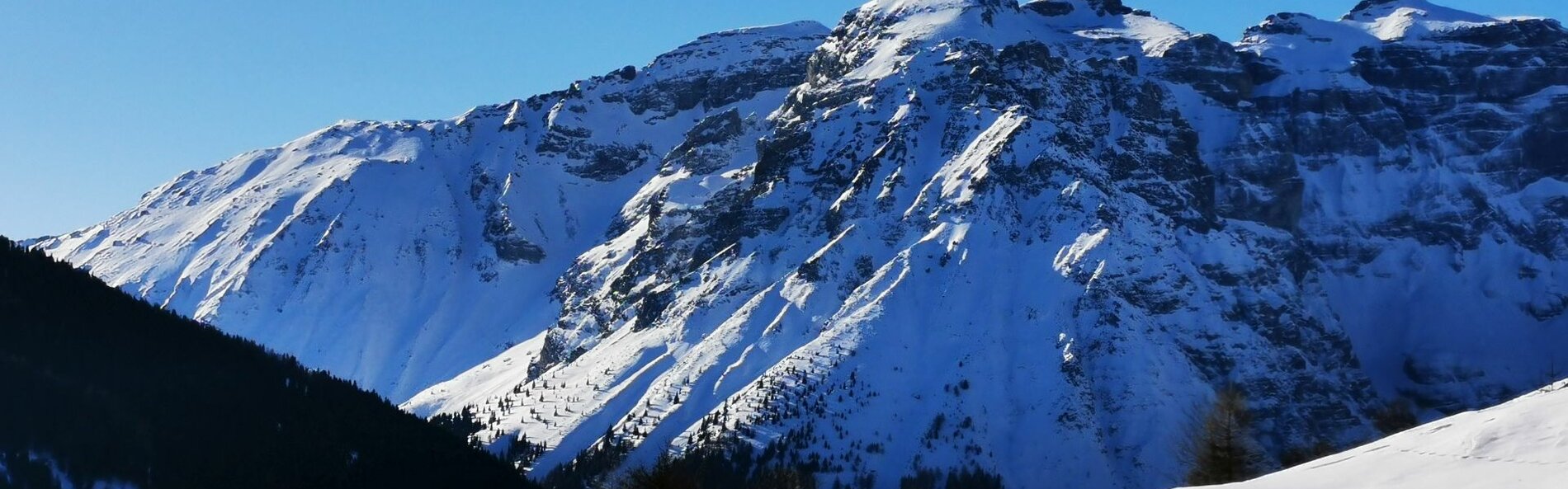 Blick zum Obernberger Tribulaun