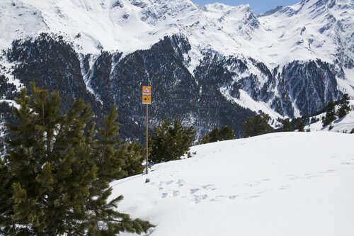  Protective forest with sign plus detour