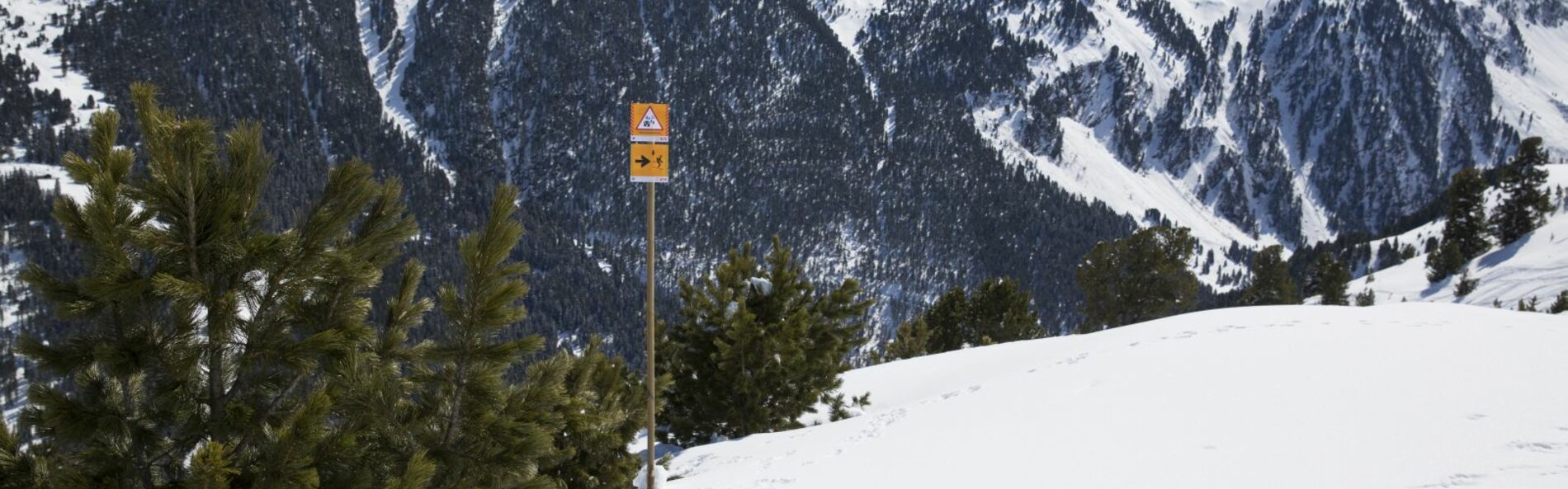  Protective forest with sign plus detour