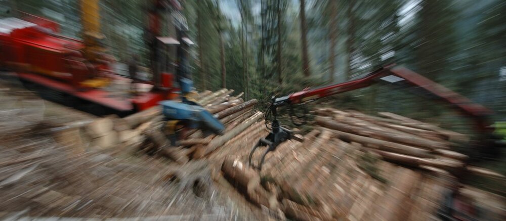 Forstarbeiten, ein Stapel an geschälten Holzstämmen liegt vor einem Kran 
