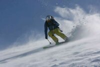 Skier in powder snow