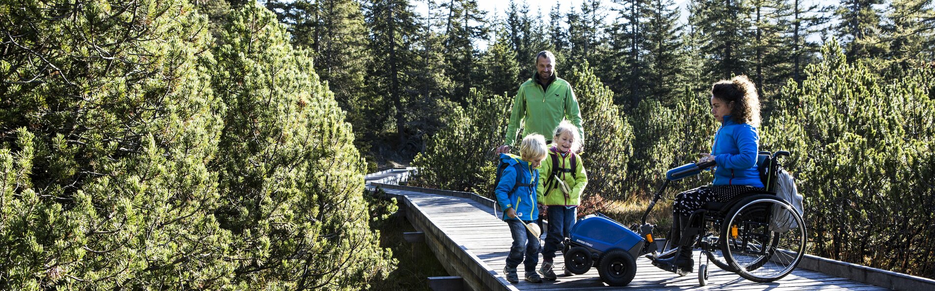 Wooden path; crossroads; four people