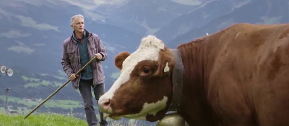 Screenshot information film. Man with walking stick next to cow with bell.