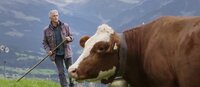 Screenshot Informationsfilm. Mann mit Wanderstock neben Kuh mit Glocke.