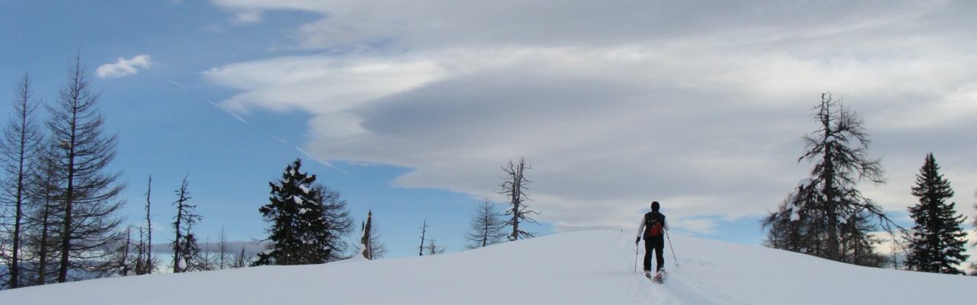 Skitourengeher am Weg zum Auerling