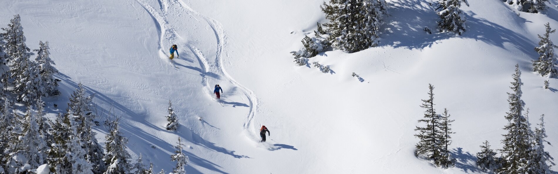 3 Skifahrer bei Abfahrt durch Gelände