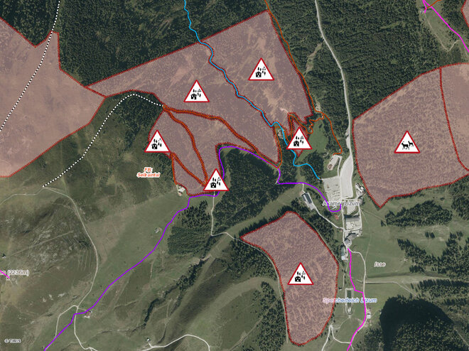 Extract from tirisMaps with protection zones in the area of the Pleisenhütte toboggan run. © Land Tirol