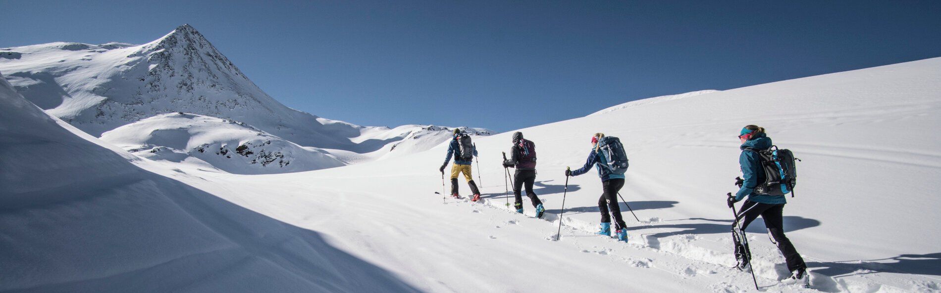 Eine vierköpfige, bunt gekleidete Skitourengruppe spurt im Pulverschnee in Richtung eines pyramidenförmigen Berges. © BergImBild, Christian Riepler