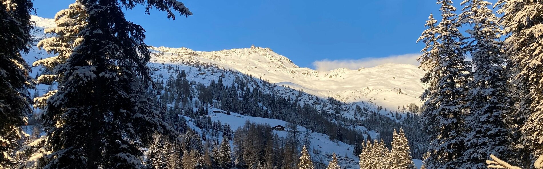 Foto von verschneiter Landschaft im Navis © Land Tirol
