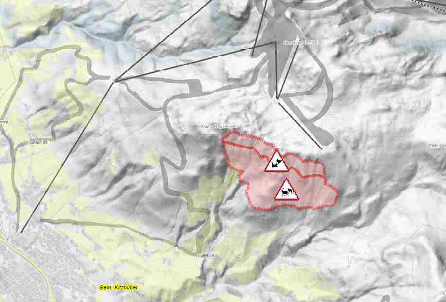 Map Kitzbühler Horn with protection zones.