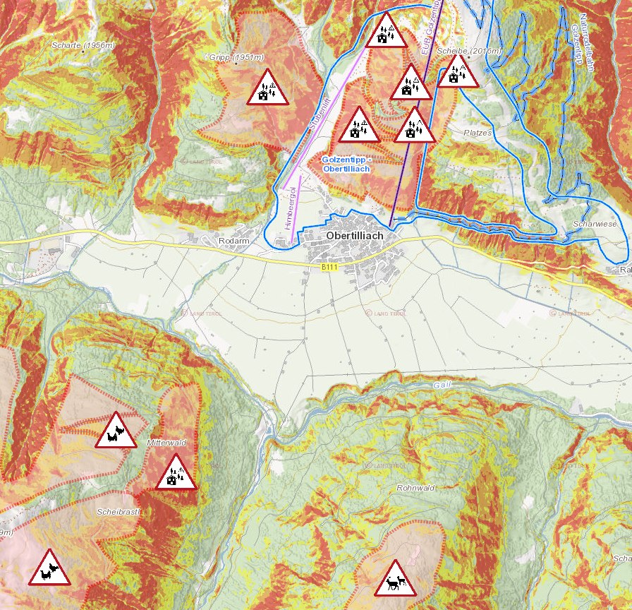 Kartenausschnitt Obertilliach mit Wild- und Waldschutzzonen © Land Tirol