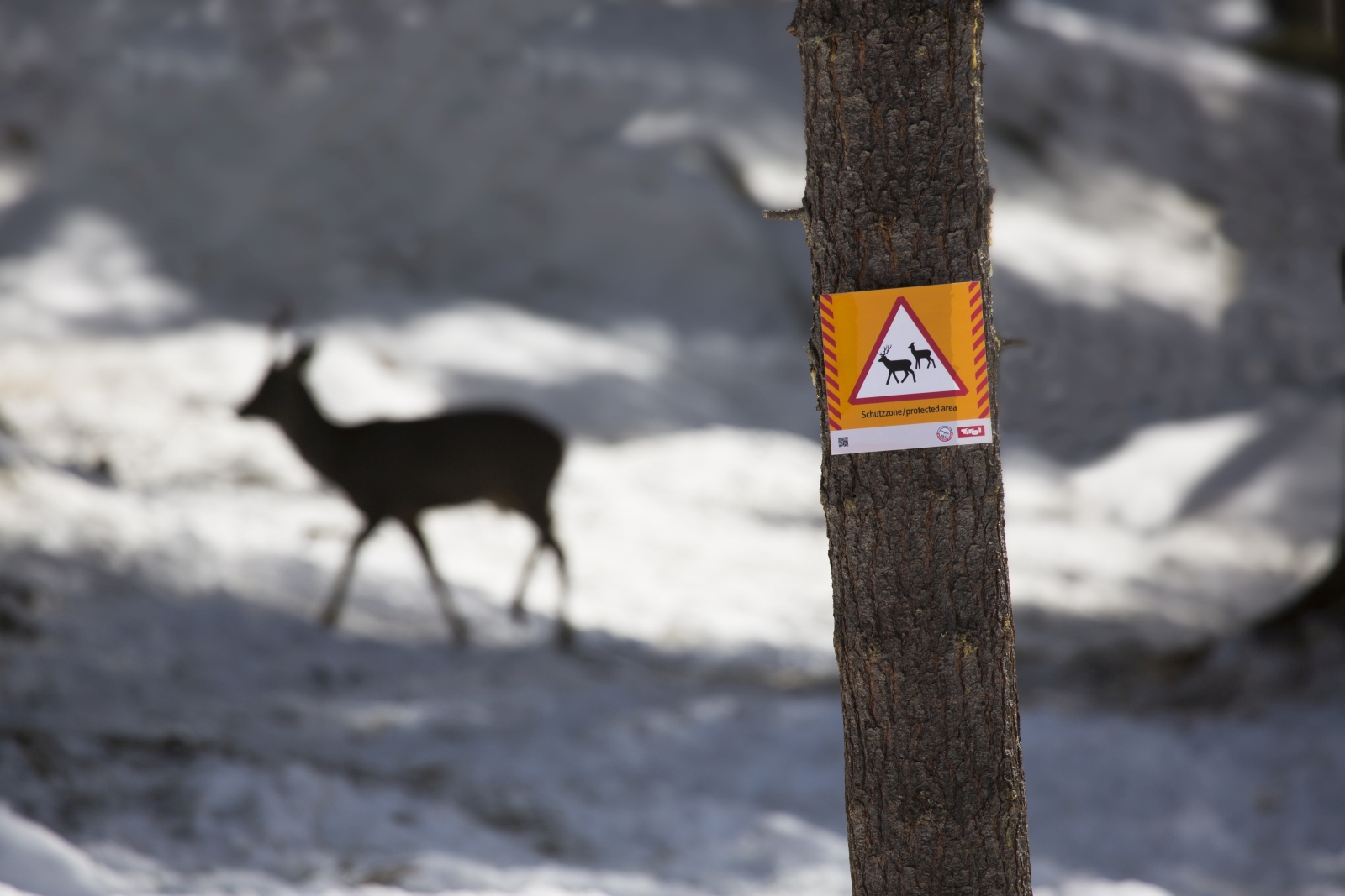 Schutzgüter-Schild an einem Baum und ein Reh im Hintergrund