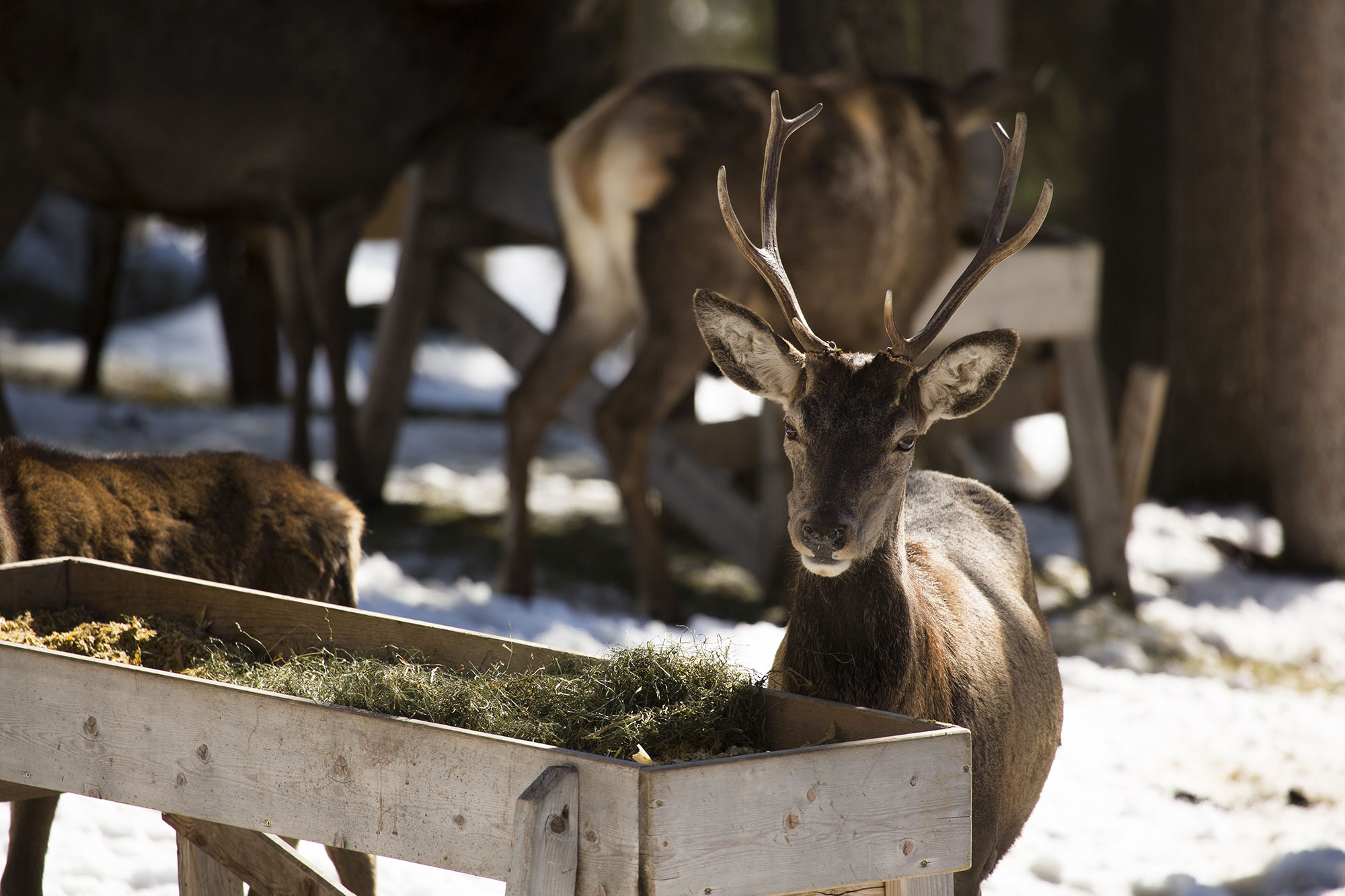 © Land Tirol