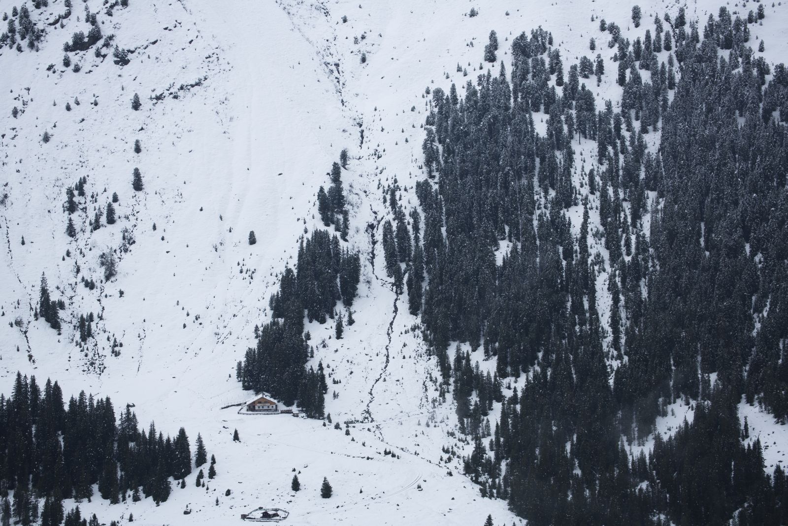 Snowy slope with protective forest