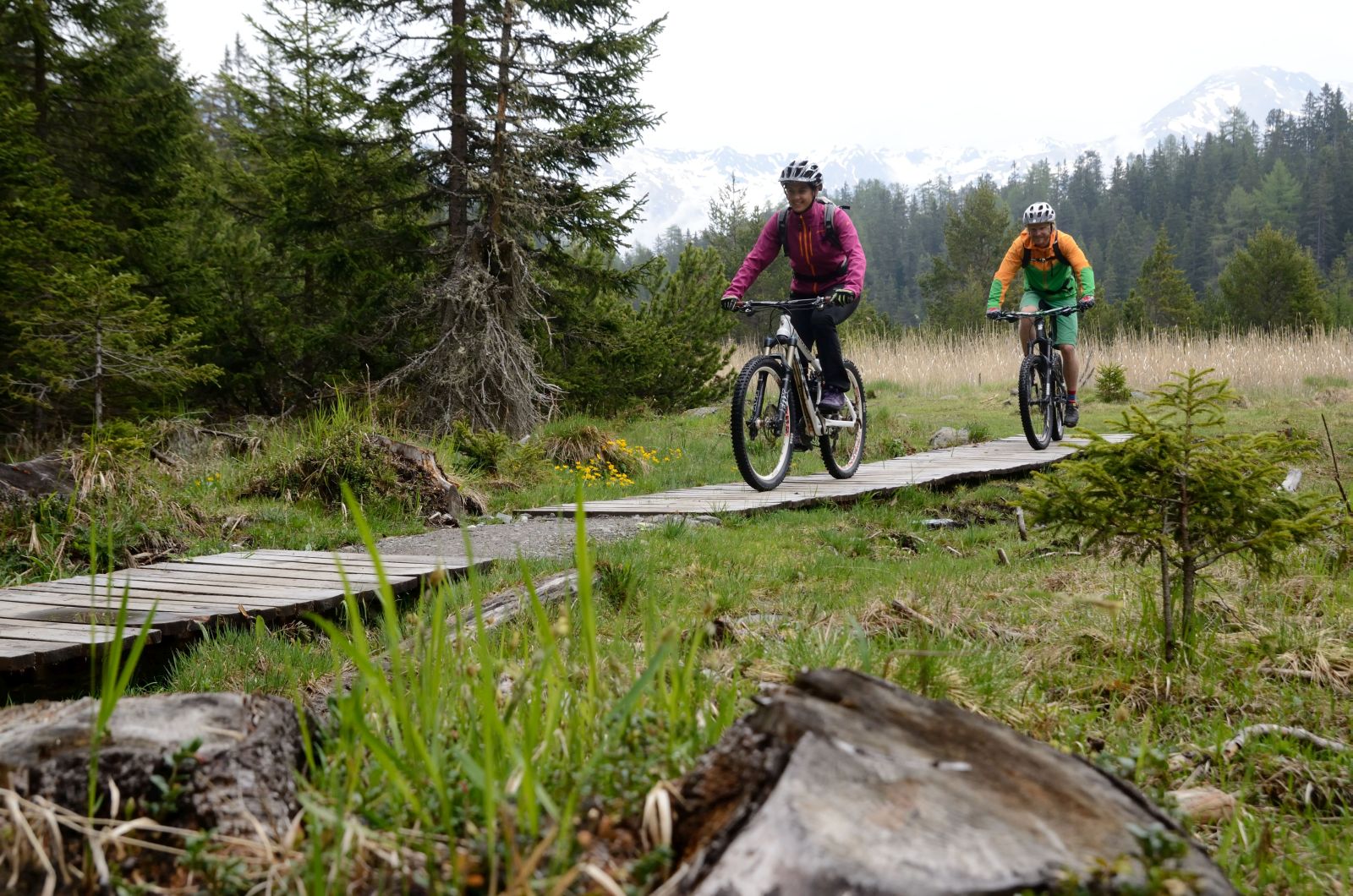 Zwei Mountainbiker auf einem Singletrail. Sie fahren über einem schmalen Holzsteg.