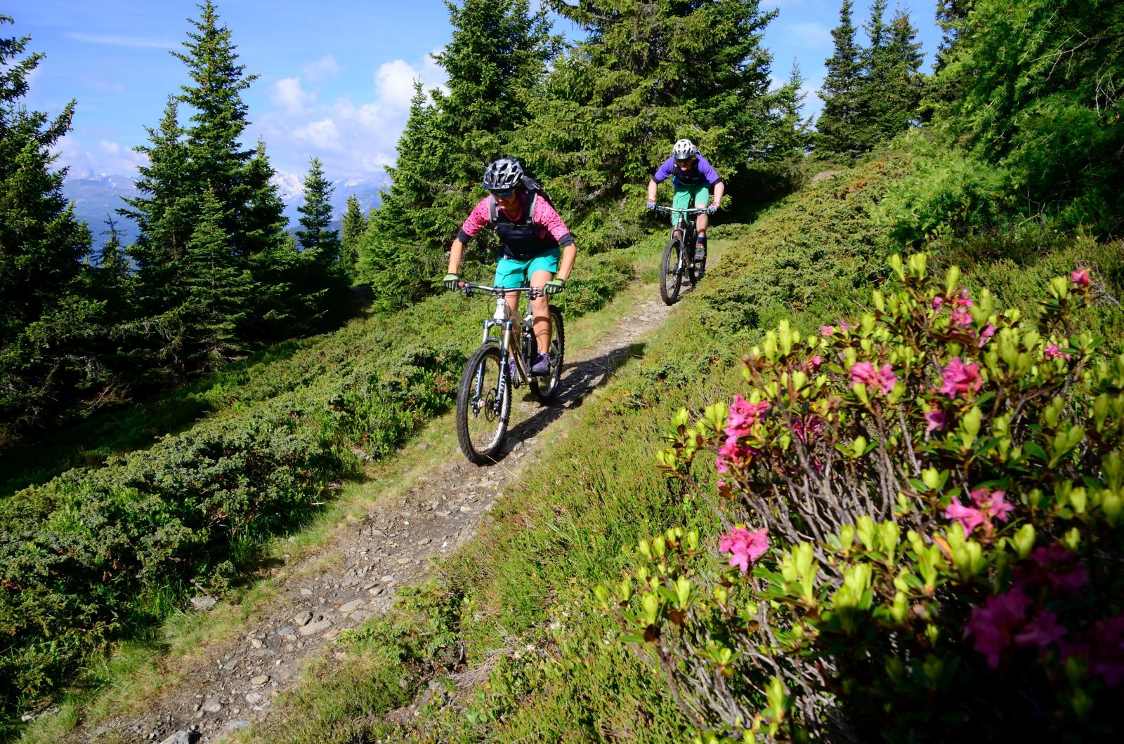 Mountainbike singletrail tirol