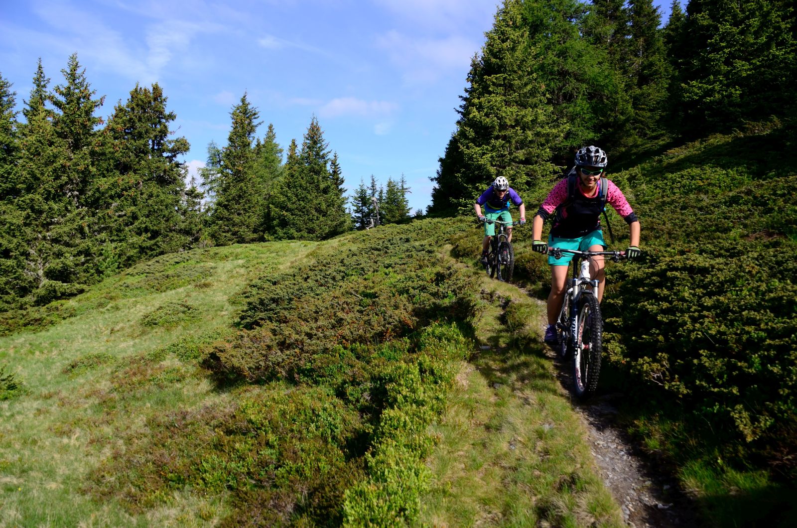 Zwei Mountainbiker befahren einen Singletrail. Rechts und links neben dem Weg befindet sich dichtes Gebüsch.