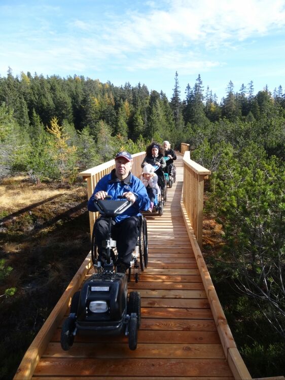 Drei Personen mit Rollstuhl fahren über einen Holzsteg, welcher über moorige Landschaft führt.