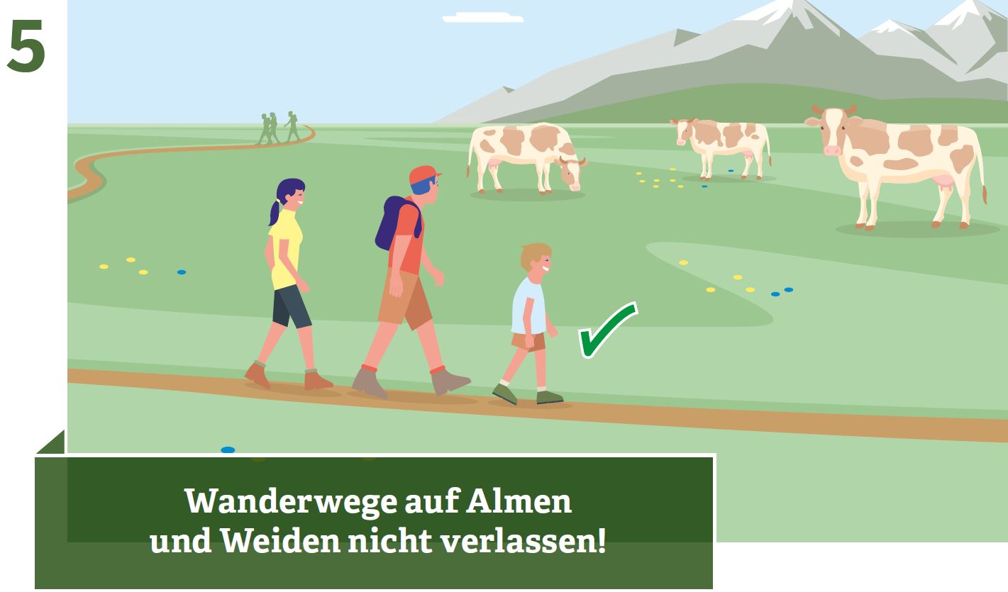 Do not leave hiking trails on alpine pastures and meadows!