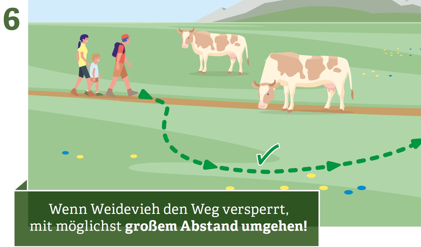 If grazing livestock block the way, go around at as great a distance as possible!