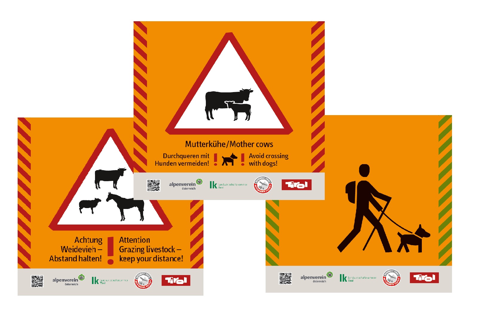 The signs of the guidance system "Attention grazing cattle".