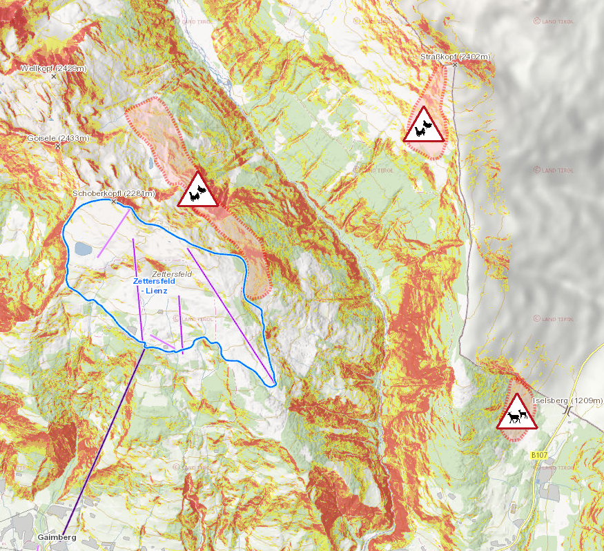 Kartenausschnitt Wildschutzzonen Debanttal © Land Tirol