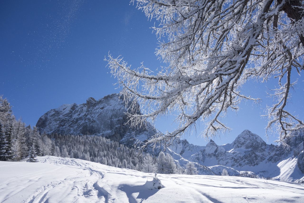 Winterlandschaft am Weg zum Auerling