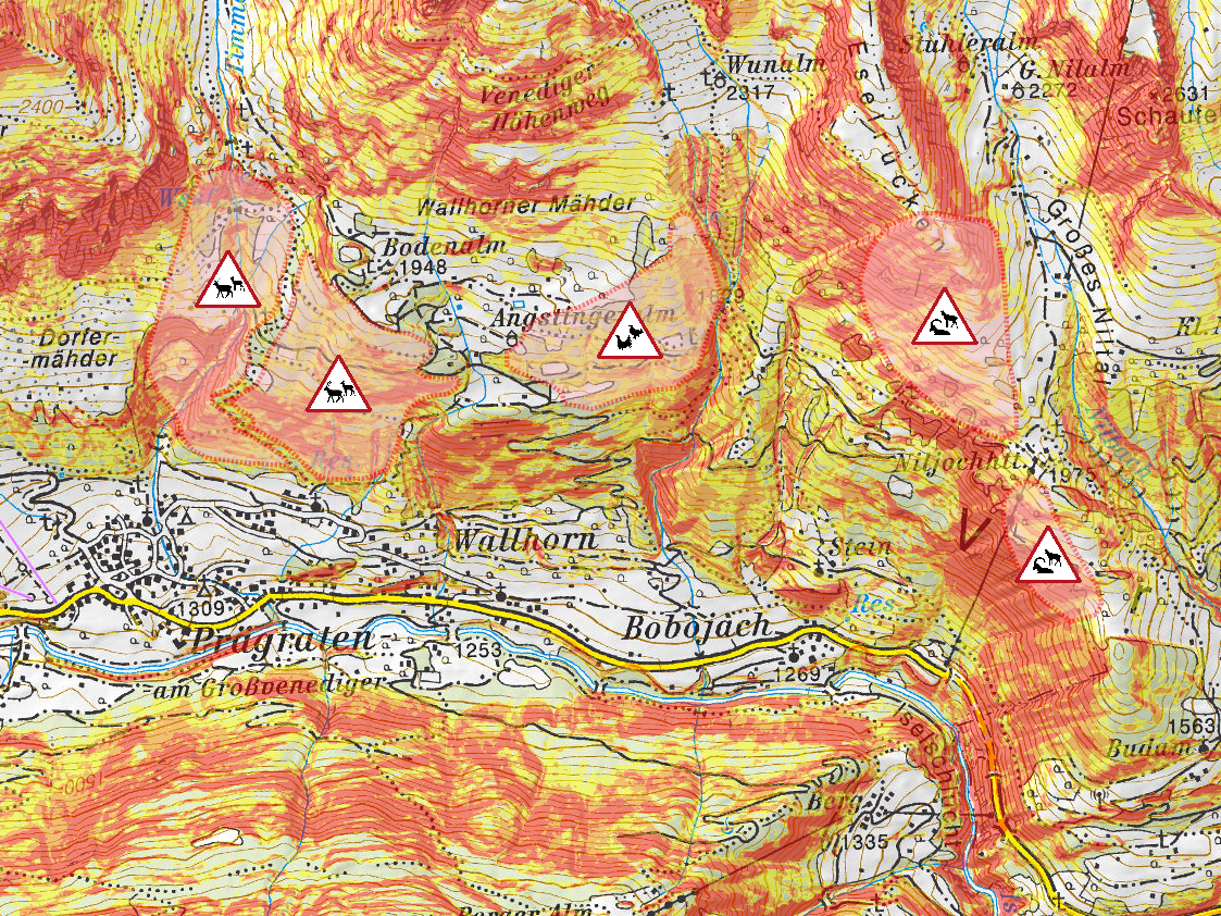 Ausschnitt aus tirisMaps mit Schutzzonen und Hangneigungen im Projektgebiet Virgental. © Land Tirol