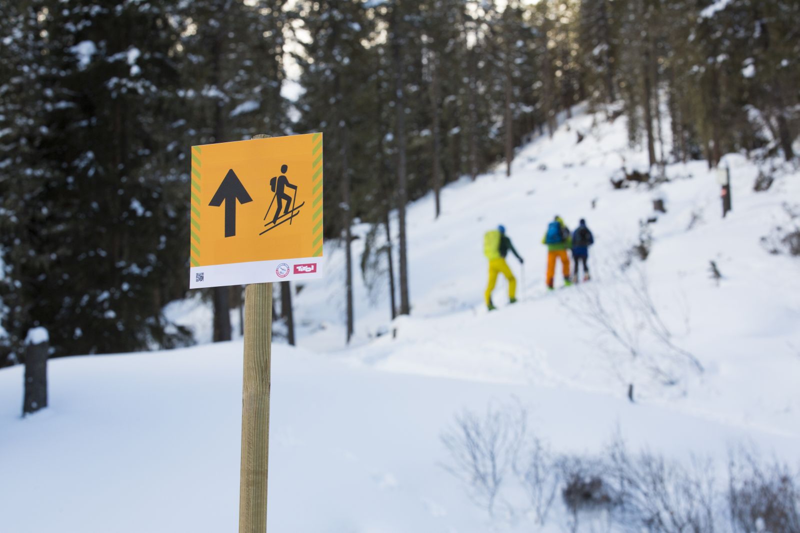 Skitourenschneise beschildert © Land Tirol Skitourenschneise beschildert